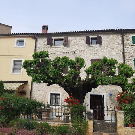 Casa Girasole Villa Buje Eksteriør billede