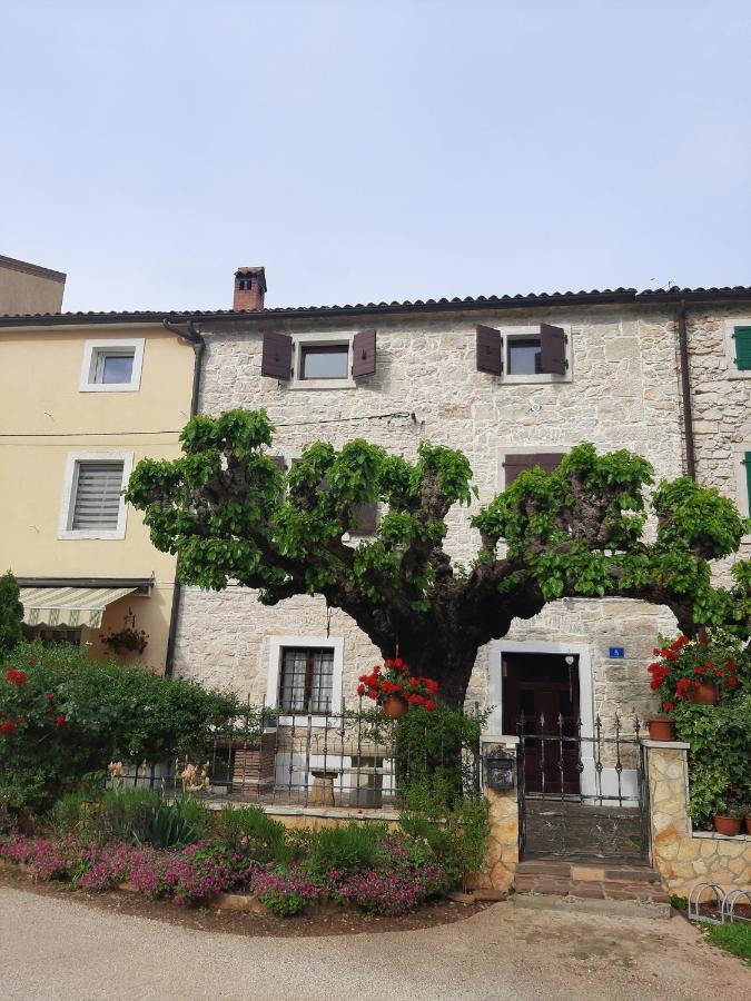 Casa Girasole Villa Buje Eksteriør billede